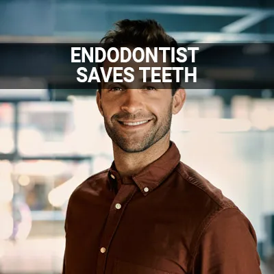 Visit our How an Endodontist Saves Teeth page