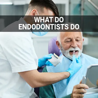 Visit our What Do Endodontists Do page